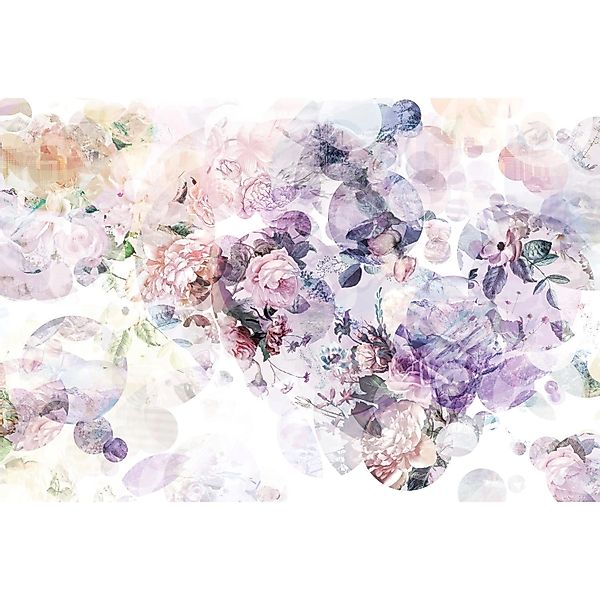 Komar Fototapete Wish Multicolor 368 x 248 cm 611137 günstig online kaufen