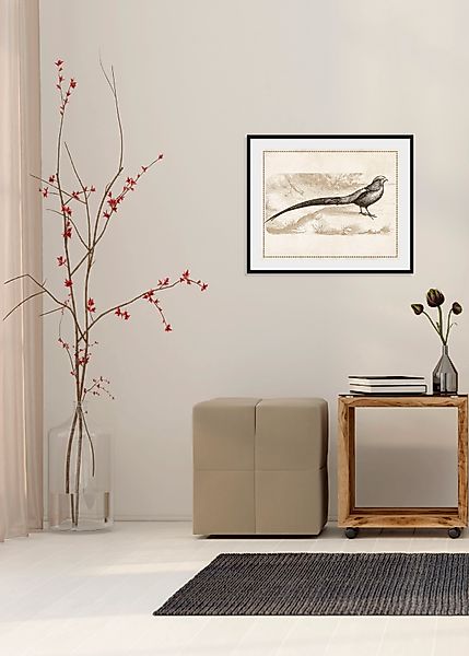 queence Bild »Daniel«, Vögel-Vogelbilder-historische Ereignisse-Kunst, (1 S günstig online kaufen