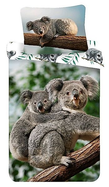 Sweet Home Kinderbettwäsche Koala, Renforcé, 2 teilig günstig online kaufen