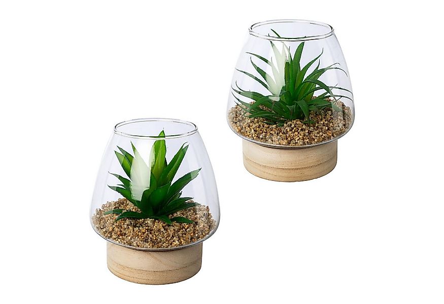 Kunstpflanze Sukkulenten im Glasgefäß, Creativ green, Höhe 14 cm, mit 2 ver günstig online kaufen