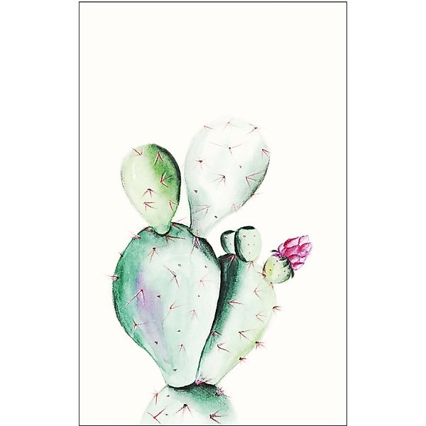 Komar Bild "Prickly Pear Watercolor" Blätter  Pflanzen 1 Stk. tlg. Wandbild günstig online kaufen