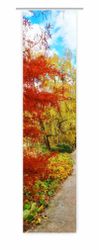 gardinen-for-life Schiebegardine Herbstfarbenerlebnis Flächenvorhang HxB 26 günstig online kaufen