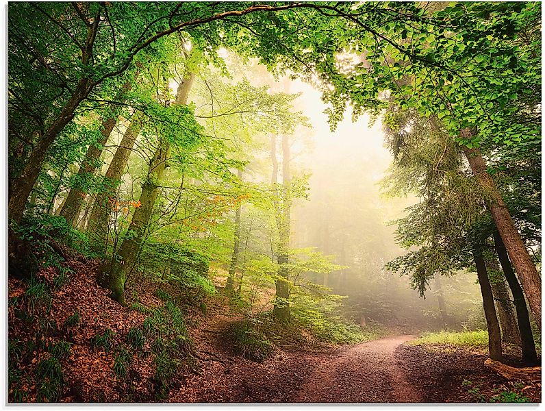 Artland Glasbild "Natürliche Torbögen durch Bäume", Wald, (1 St.), in versc günstig online kaufen