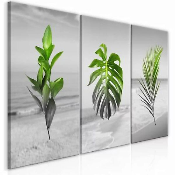artgeist Wandbild Plants (Collection) grau/grün Gr. 60 x 30 günstig online kaufen