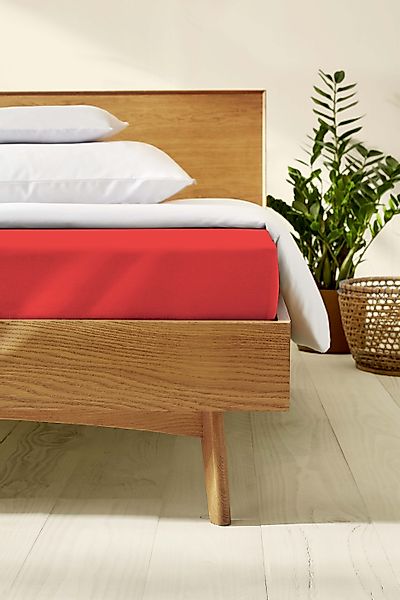 Kaeppel Spannbettlaken »Single Jersey Mako Elasthan«, aus 97% Baumwolle und günstig online kaufen