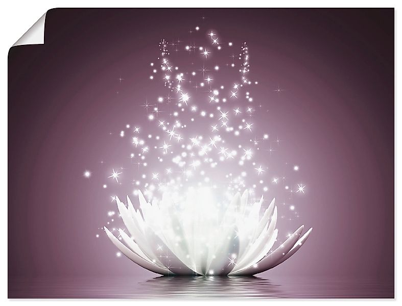 Artland Wandbild »Magie der Lotus-Blume« 1 Stk. tlg. als Leinwandbild, Post günstig online kaufen