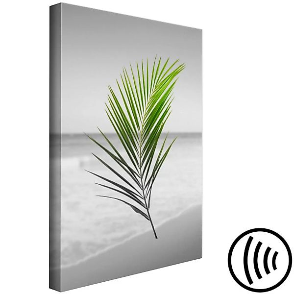 Bild auf Leinwand Green Palm Branch (1 Part) Vertical XXL günstig online kaufen