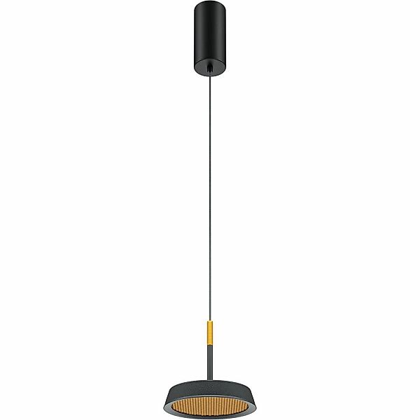 LED Pendelleuchte El in Schwarz und Gold 12W 650lm günstig online kaufen