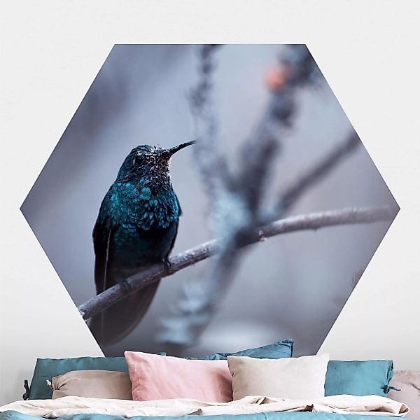 Hexagon Fototapete selbstklebend Kolibri im Winter günstig online kaufen