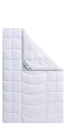 fan Microfaserbettdecke "Warmmax" warm 1 Stk. tlg. kuscheliges Schlafgefühl günstig online kaufen