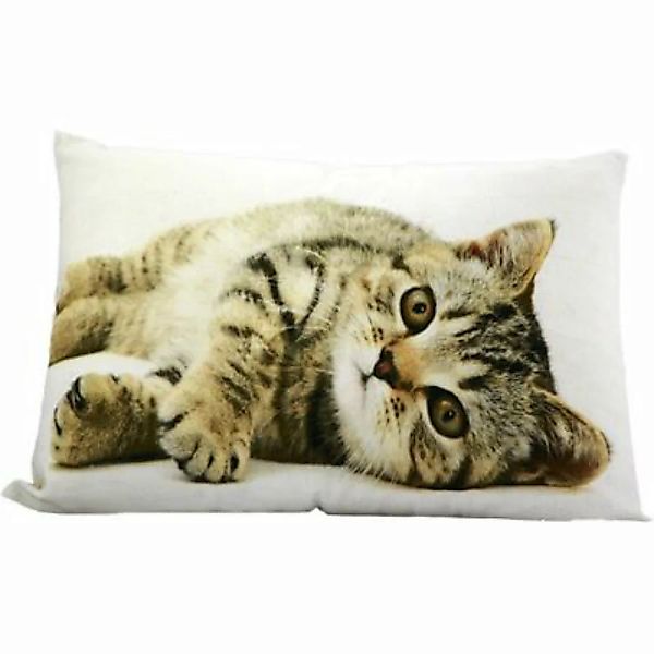 Kissen Kissenbezug Katze liegend 35x50cm mit Füllung Deko Kätzchen Kuschel günstig online kaufen