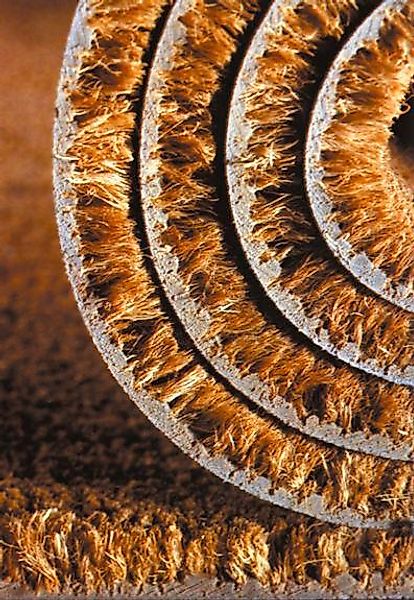 ASTRA Fußmatte »Kokosvelours 103«, rechteckig, 24 mm Höhe, Schmutzfangmatte günstig online kaufen