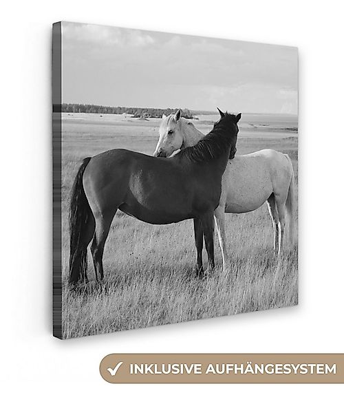 OneMillionCanvasses® Leinwandbild Pferde - Tiere - Porträt - Schwarz-Weiß - günstig online kaufen