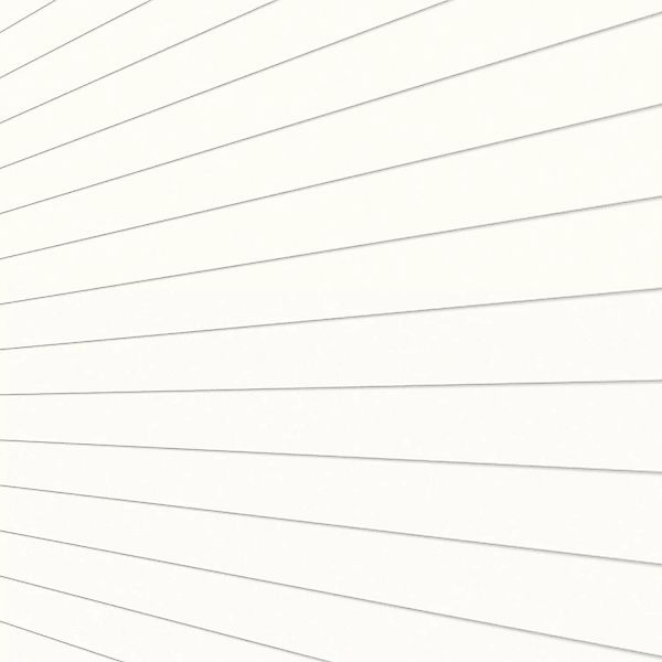 Decken- und Wandpaneel Dekor Uni Weiß Glänzend 200 cm x 20,2 cm x 1 cm günstig online kaufen