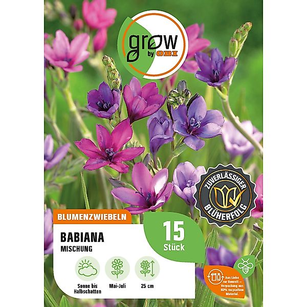 GROW by OBI Babiana Mischung Höhe ca. 25 cm Babiana stricta günstig online kaufen