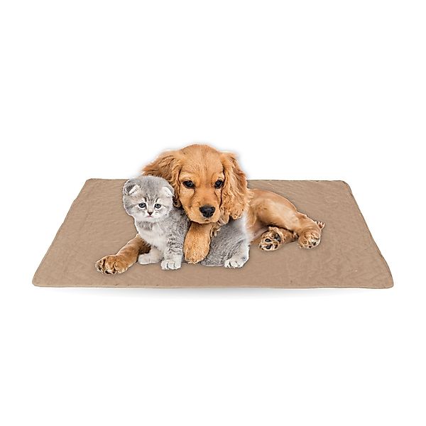 Bestlivings Tierdecke gesteppte Haustierdecke S-XL, Polyester, günstig online kaufen