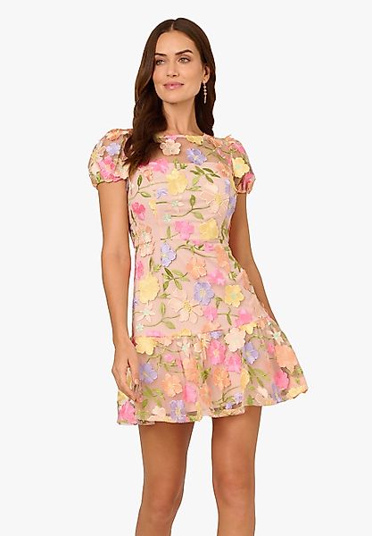 Adrianna Papell Abendkleid Embroidered Flounce Dress günstig online kaufen