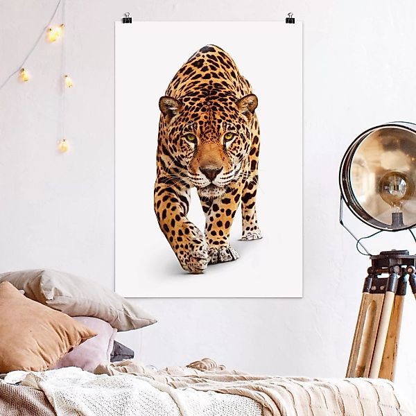 Poster - Hochformat Creeping Jaguar günstig online kaufen