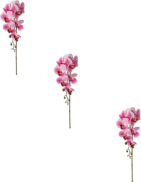 Creativ green Kunstblume "Orchidee Phalaenopsis" günstig online kaufen