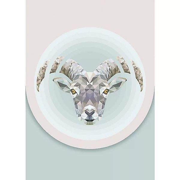 Komar Poster Capricorn Tiere B/L: ca. 50x70 cm günstig online kaufen