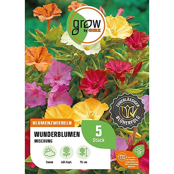 GROW by OBI Wunderblume Jalapa Mischung Höhe ca. 75 cm Mirabilis jalapa günstig online kaufen