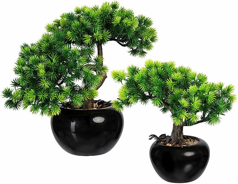 Creativ green Kunstbonsai "Bonsai Lärche", im Keramiktopf, 2er Set günstig online kaufen