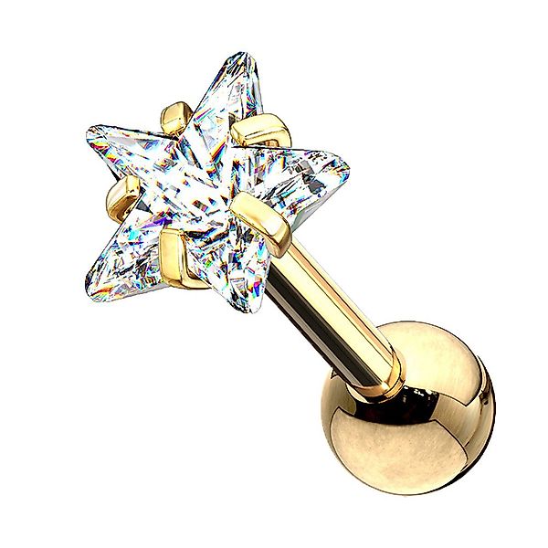 Taffstyle Piercing-Set Tragus Chirurgenstahl mit Stern günstig online kaufen