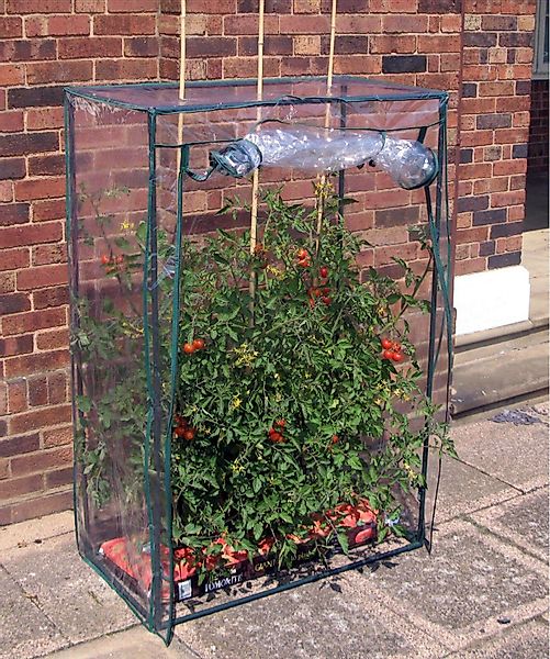 GartenHero Foliengewächshaus Tomaten Gewächshaus Frühbeet Treibhaus günstig online kaufen