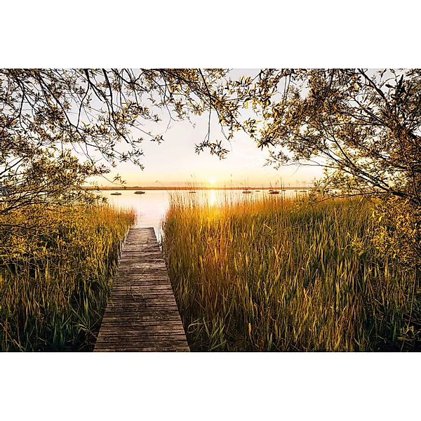 Komar Vliestapete »Digitaldruck Vlies - Lakeside - Größe 400 x 260 cm«, bed günstig online kaufen