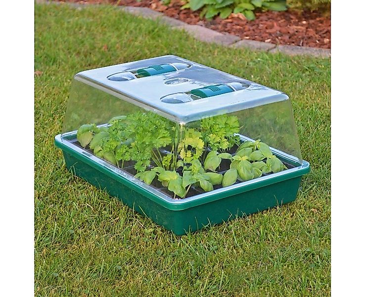 Haushalt International Gewächshaus Gewächshaus, Kleines Zimmergewächshaus - günstig online kaufen