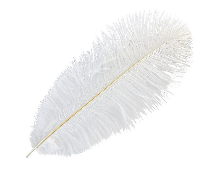 Viana Osterfigur Deko Straußenfedern Weiß 38-40cm 2St – Echte Vogelfeder fü günstig online kaufen