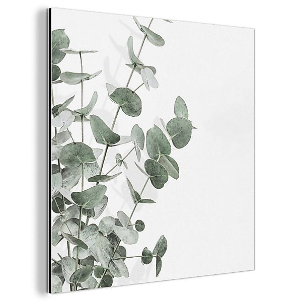 MuchoWow Metallbild Eukalyptus - Blätter - günstig online kaufen