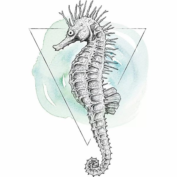 Komar Wandbild Sea Horse Watercolor 50 x 70 cm günstig online kaufen