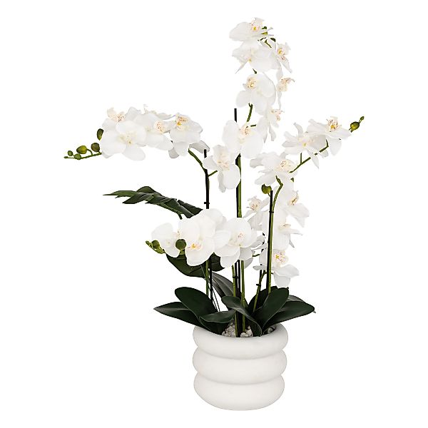 Kunstpflanze Zimmerpflanze, Atmosphera Créateur d'intérieur, Höhe günstig online kaufen