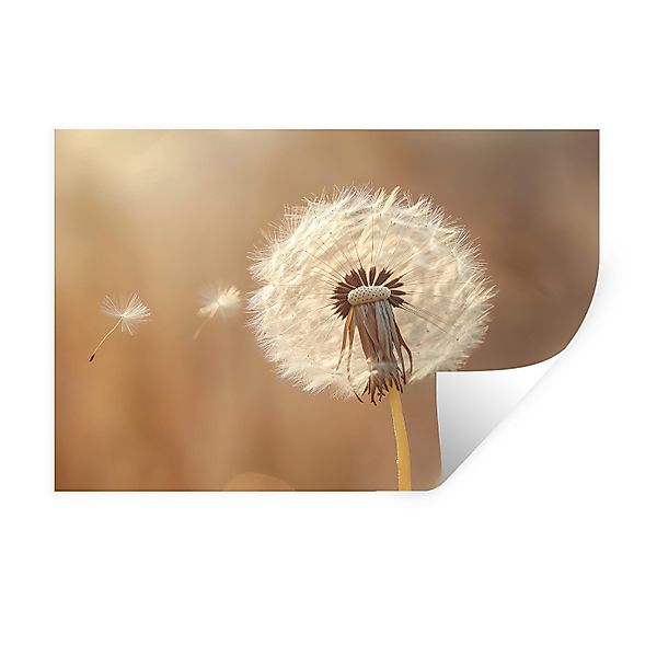 MuchoWow Wandsticker Löwenzahn - Beige - günstig online kaufen