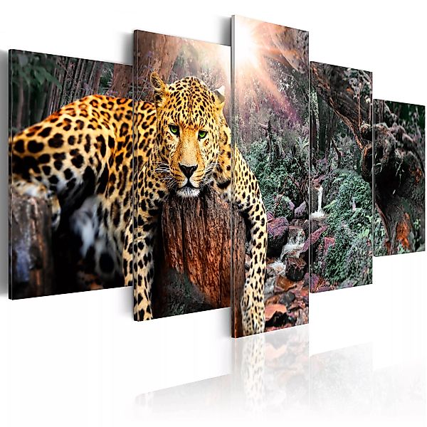 Wandbild - Leopard Relaxation günstig online kaufen
