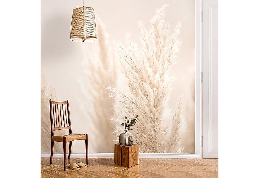 Bilderdepot24 Fototapete Blumen Pampasgras Sonnenlicht Blumentapete Floral günstig online kaufen