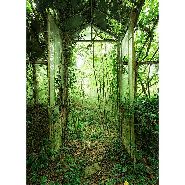 Komar Vliesfototapete Greenhouse 200 cm x 280 cm günstig online kaufen