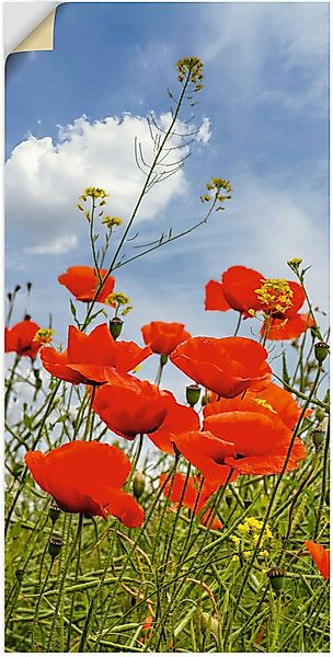 Artland Wandbild Mohnblumen im Panorama, Blumenbilder günstig online kaufen