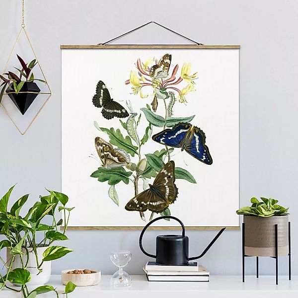 Stoffbild Blumen mit Posterleisten - Quadrat Britische Schmetterlinge IV günstig online kaufen