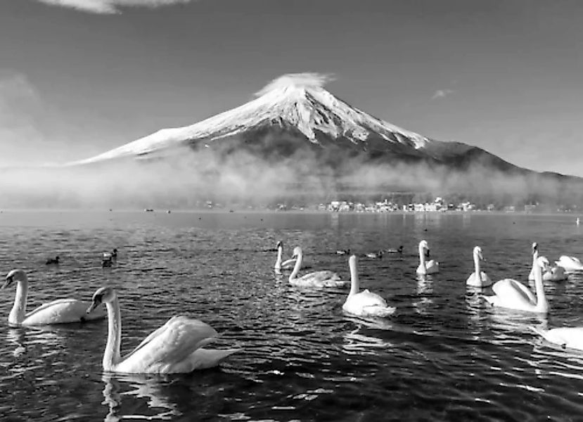 Papermoon Fototapete »Mount Fuji mit Schwänen Schwarz & Weiß« günstig online kaufen