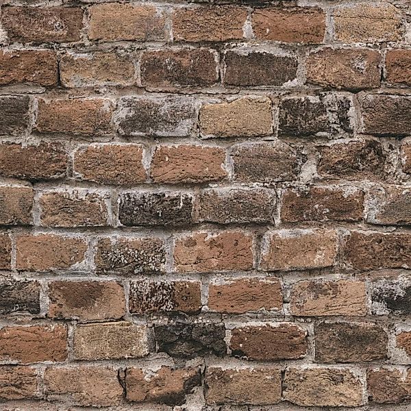 A.S. Création Vliestapete Bricks & Stones günstig online kaufen