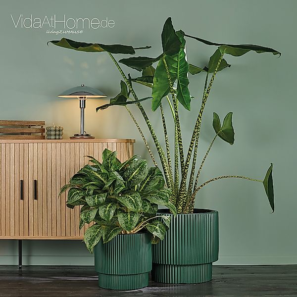 VidaAtHome.de Blumentopf Design-Pflanzgefäße-Set IVY (2er Set) günstig online kaufen