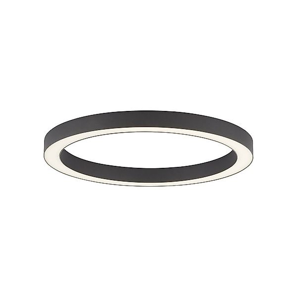 Paul Neuhaus LED Deckenleuchte LED Deckenlampe günstig online kaufen