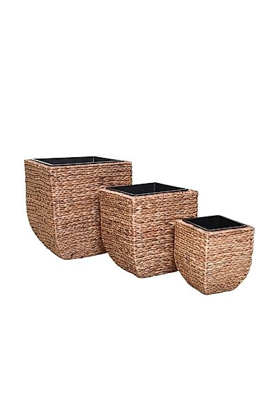 VIVANNO Pflanzkübel Wasserhyazinthe ASIA Würfel - günstig online kaufen