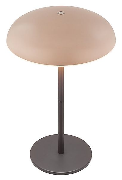 Briloner Leuchten LED Außen-Tischleuchte CAXA 7573011 günstig online kaufen