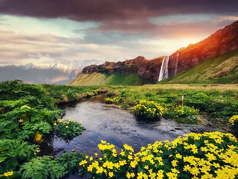 Papermoon Fototapete »Seljalandfoss waterfall Iceland« günstig online kaufen
