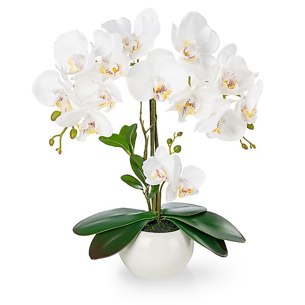 Kunstorchidee PASCH® Orchidee künstlich wie echt günstig online kaufen