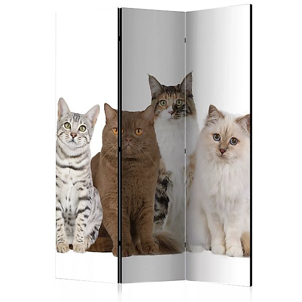 3-teiliges Paravent - Sweet Cats [room Dividers] günstig online kaufen