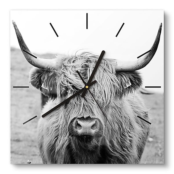 DEQORI Wanduhr 'Zotteliges Hochlandrind' (Glas Glasuhr günstig online kaufen